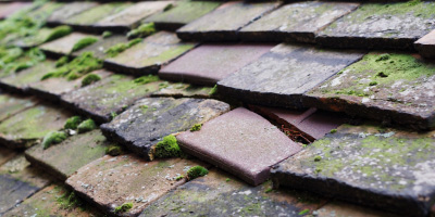 Lent Rise roof repair costs